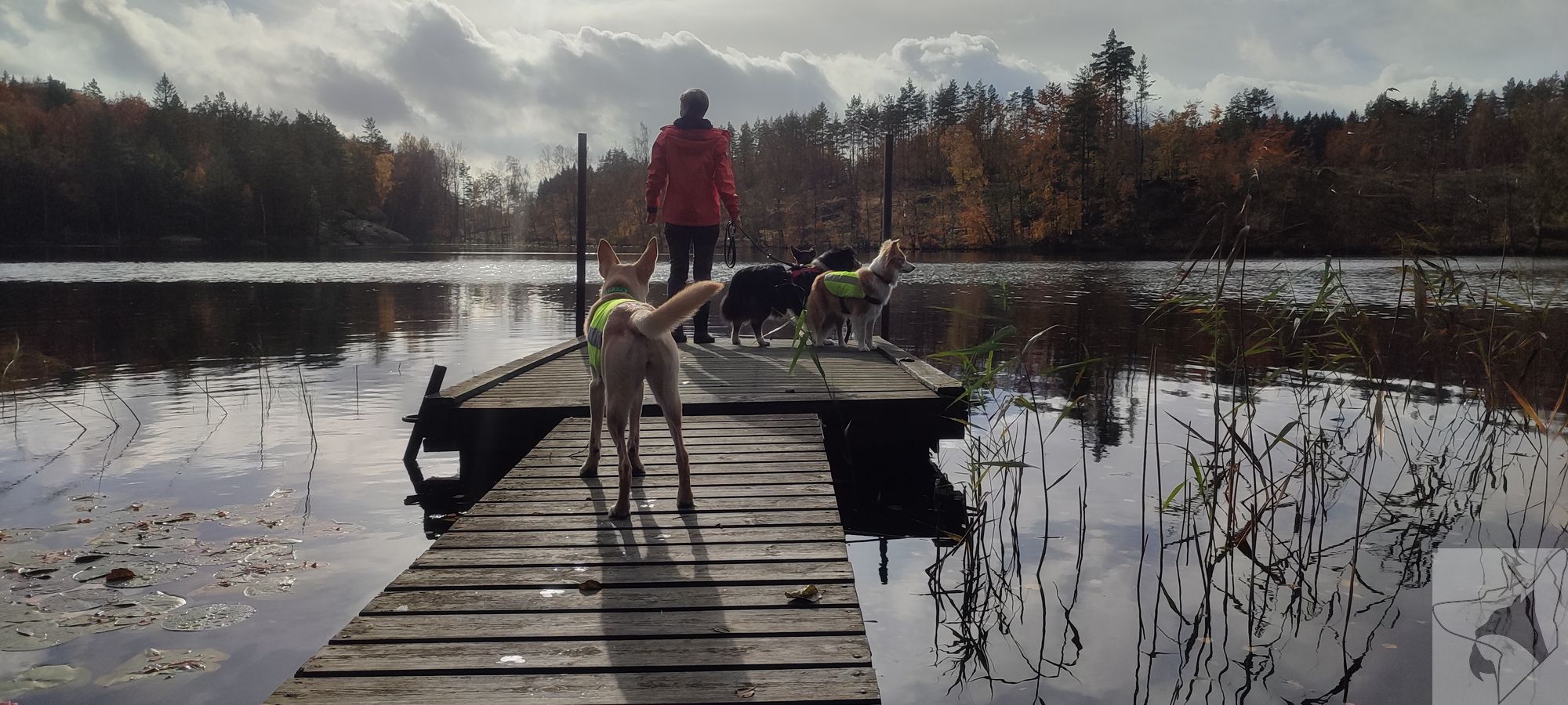 Tierarztpraxis am Fließtal in Berlin / Tegel